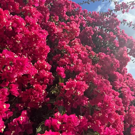 Апартаменты Ocean View Tenerife South Coast Коста-дель-Силенцио