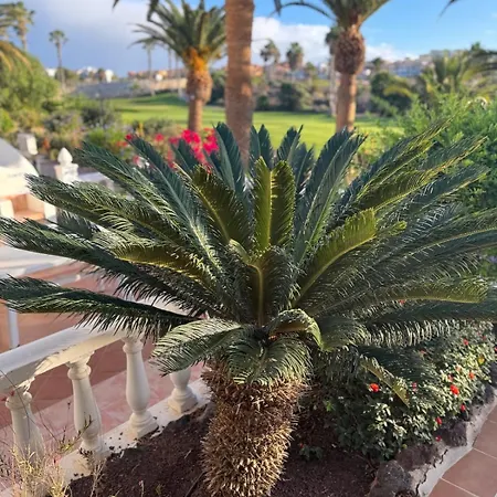 Balcon Del Mar Tenerife *