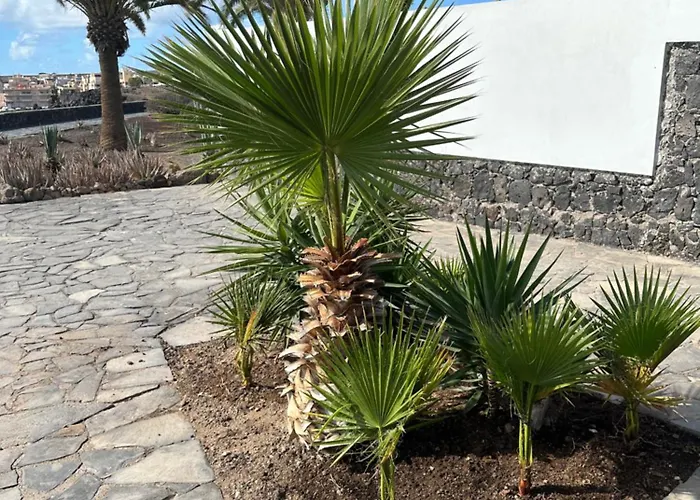 Appartement Ocean View Tenerife South Coast